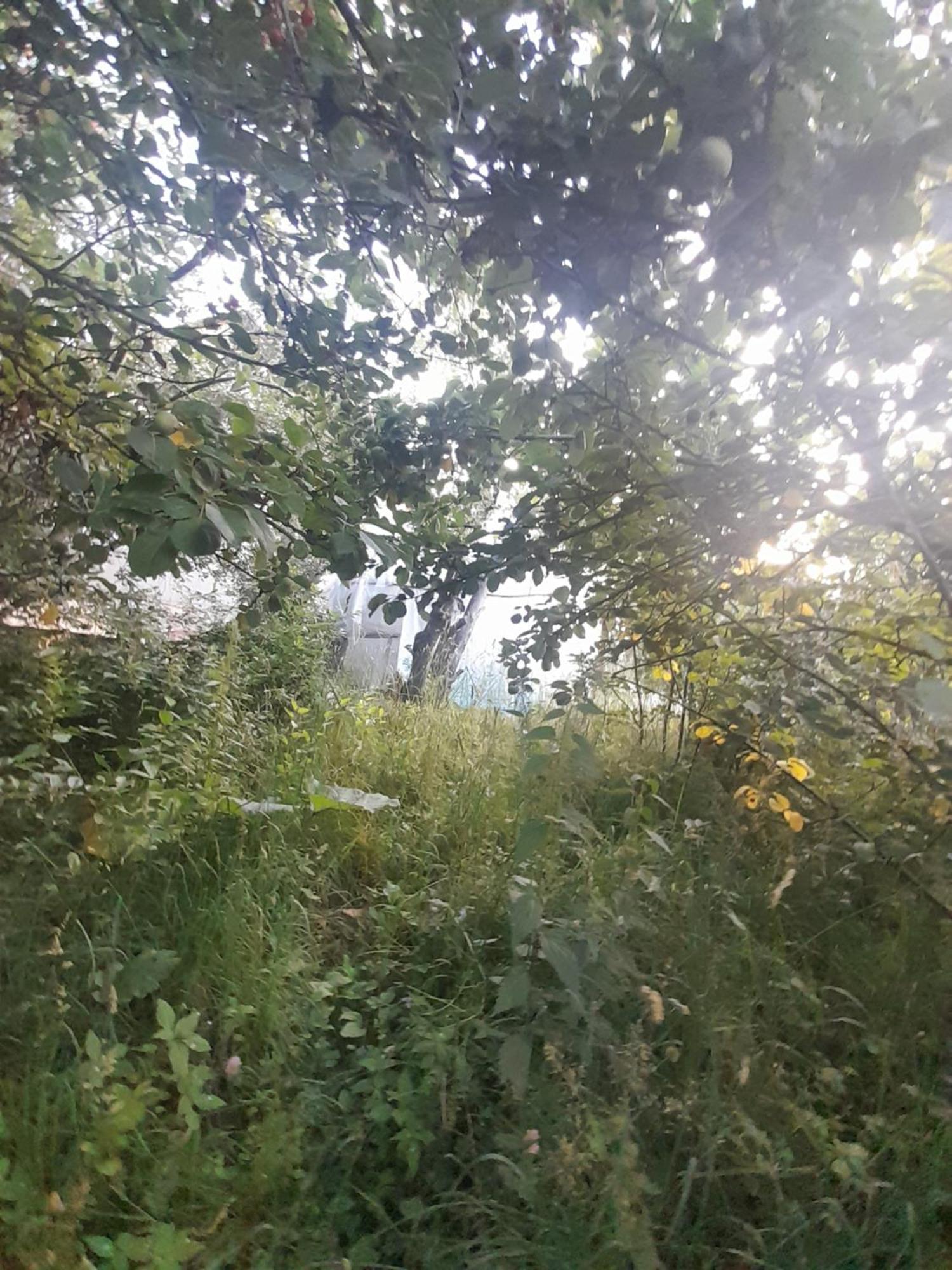 Waterfall In The Yard Karakol Extérieur photo
